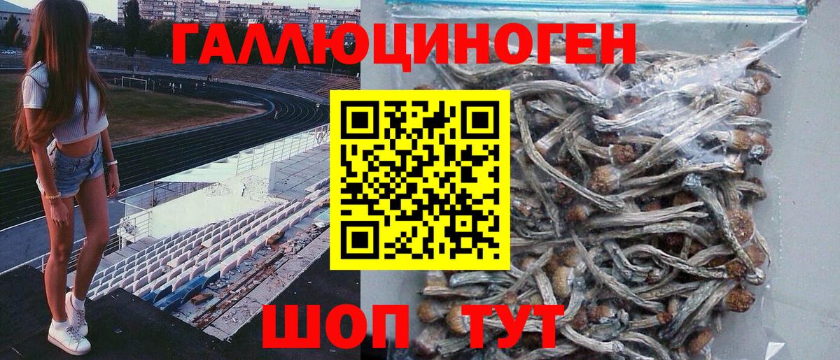 Псилоцибиновые грибы ЛСД  Вход с VPN  Севастополь 