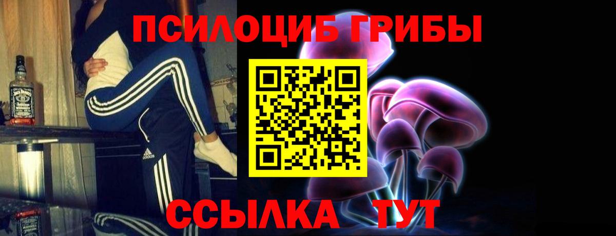 Псилоцибиновые грибы Cubensis Севастополь